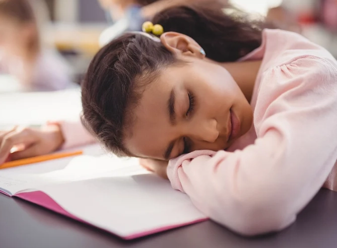 power nap for studying