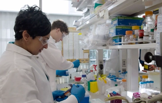 fatal familial insomnia