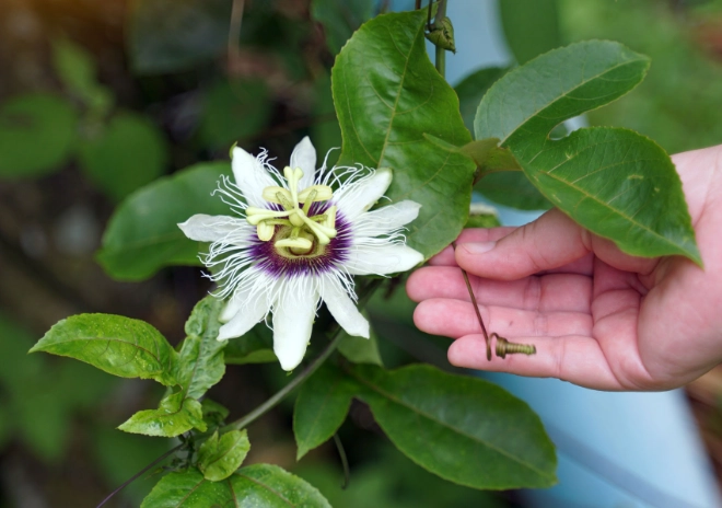 best sleep aids without medication