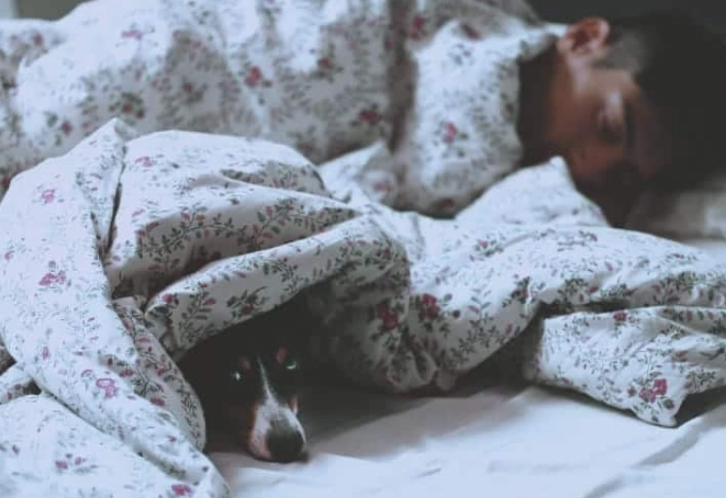 How to sleep fast in 5 minutes home remedies