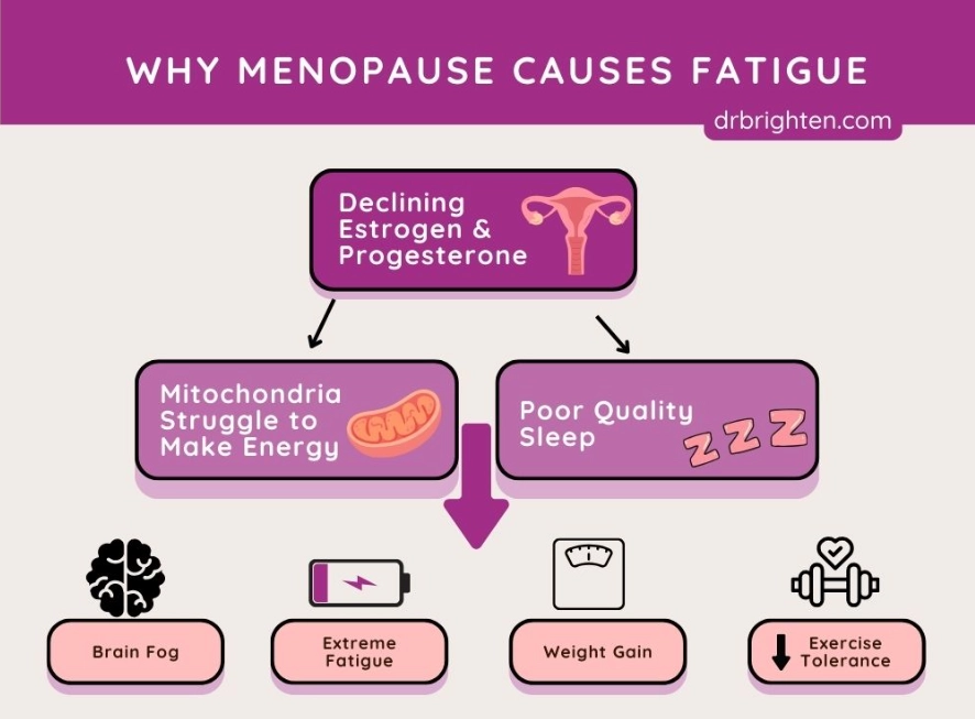 menopause exhaustion
