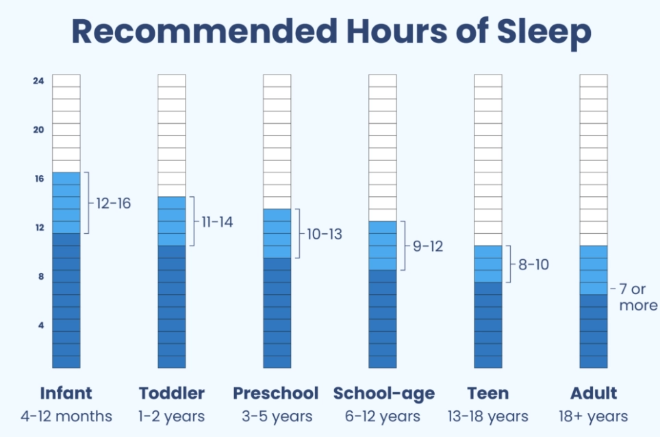 optimal sleep schedule optimal sleep schedule