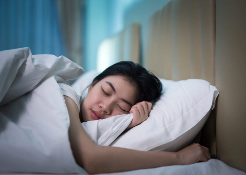 adult sleep cycles adult sleep cycles