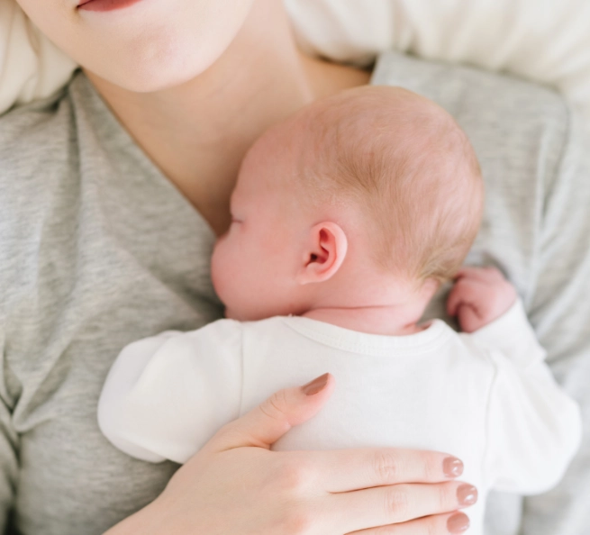 adult sleep cycles adult sleep cycles
