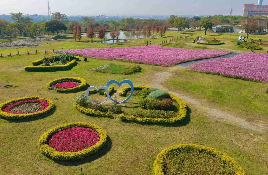 后里花海花期