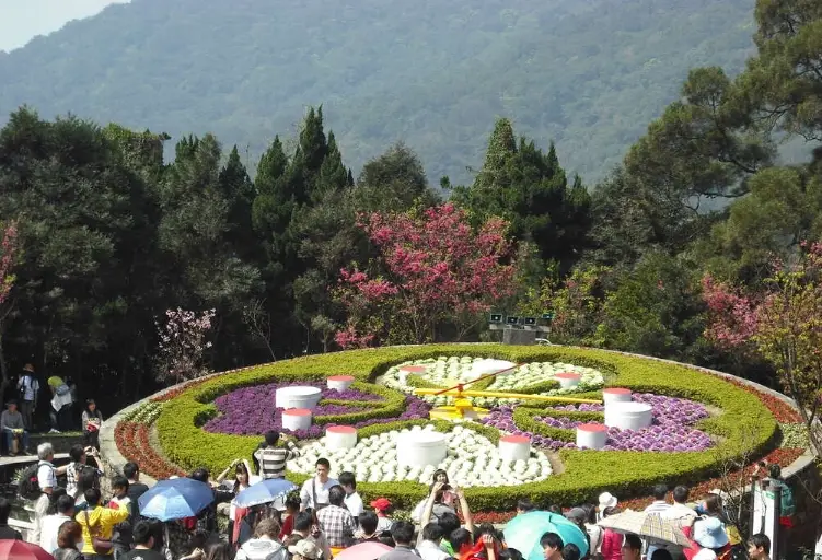 陽明山花季